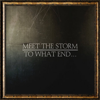 Meet the Storm - to what end... - CD